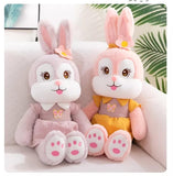 CUTE RABBIT  WITH FROCK  PLUSH SOFT TOY FOR KIDS-OKG001R