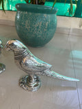 Silver Papiha , Beautiful Antique Silver Finish Parrot Pair-ART001PP