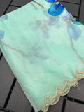 Pastel Green  Shade Organza Handwork Saree for Women-SSS001POPG