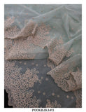 Pastel Green  , Christmas Special White shade Point Embroidered Organza Saree with Blouse Piece-KIA001PGO