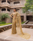 Golden Beauty , New Trending Bollywood Block Buster Sequins Saree for women -SOC001BRG