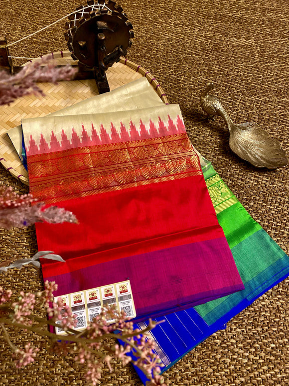 Neelambari , elegant Pure Ikat Pochampalli Silk Saree for Women -SACHI001PPS