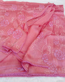 Blush Coral Pink Turkish Organza Appliqué Work Saree with Blouse-DEEP001BC