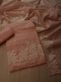 Peach Shade Lovely Applique embroidered Kota silk top and dupatta With Plain Bottom-DIYA001KSA
