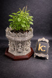 999 Silver Covered Tulsi Planter With Goddess Lakshmi Motifs engraved for Your Home -YOU001TP
