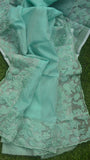 Hazel , Airy Kota elevated with a sheer organza border Saree for women -DIA001KS