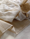 Susan , Graceful ivory organza saree featuring subtle floral appliqué work-DEEP001AW