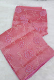 Blush Coral Pink Turkish Organza Appliqué Work Saree with Blouse-DEEP001BC