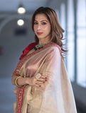 Indian Ethnic Beauty , Beautiful Twil Net Saree for women -TANVI001IB