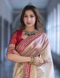 Indian Ethnic Beauty , Beautiful Twil Net Saree for women -TANVI001IB