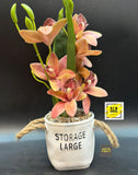 Orchid Love , Lovely flower artificial pot with flowers and leaves for home and  office decoration -AKSH001FPA
