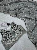 Pretty Woman , Black Net Saree with Sequins and Pearl Work for Beautiful Women -SLC001BNS