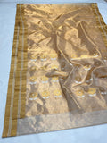 Swarnika , Golden Pure chanderi handloom saree for women-NAGMA001GCS