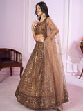 Golden Lady , Elegant Brown Net Lehenga Set for women -SSS001GL