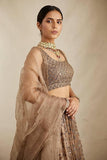 Golden Lady , Elegant Brown Net Lehenga Set for women -SSS001GL