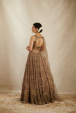 Golden Lady , Elegant Brown Net Lehenga Set for women -SSS001GL