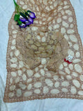 Goldie , New celebrity trending saree in  golden  beads and sequins work Golden Net fabric -SATYA001GS