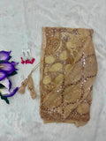 Goldie , New celebrity trending saree in  golden  beads and sequins work Golden Net fabric -SATYA001GS