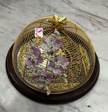 Beautiful fruit basket metal cage and  PVD metal knob with Revolving wooden base -ANUB001MCRA