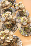 Kuber Khazana , Beautiful Abundant Huge Money Tree For Prosperity and Good Luck -USS001TMH