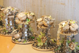 Kuber Khazana , Beautiful Abundant Huge Money Tree For Prosperity and Good Luck -USS001TMH