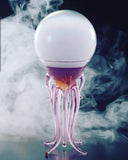 PAIR OF 2 , OCTOPUS BORO SILICATE FANCY GLASSES/LATTE MUGS -MSOP001