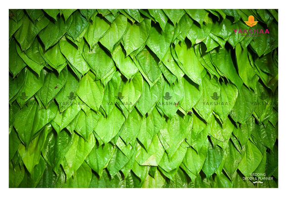 BETEL LEAF BACKDROP IN CLOTH FOR PUJA DECORATION-CZYBLD001