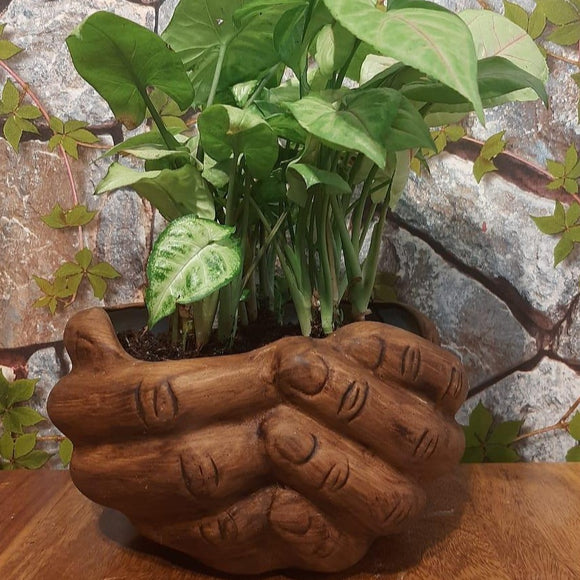 A Beautiful Wooden Finish Ceramic Hand Planter with Pebbles-HD4HDVWFH001