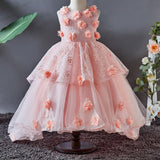 Cute applique work Pink Party Wear Dress