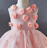 Cute applique work Pink Party Wear Dress