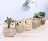 OWL FLOWER POTS FOR SUCCULENT PLANTS FOR YOUR GARDEN-HDFP001