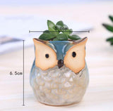 OWL FLOWER POTS FOR SUCCULENT PLANTS FOR YOUR GARDEN-HDFP001