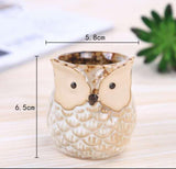 OWL FLOWER POTS FOR SUCCULENT PLANTS FOR YOUR GARDEN-HDFP001