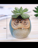 OWL FLOWER POTS FOR SUCCULENT PLANTS FOR YOUR GARDEN-HDFP001