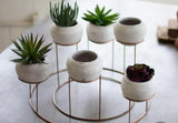 Set of 6 POTS WITH STAND  FOR DECORATION-SKDHDOO1