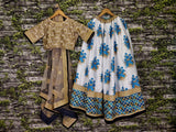 Botanical Flower Butta printed on lehengas with Heavily Embroidered blouse-DILW001