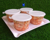 SET OF 4 MELAMINE AIRTIGHT JARS WITH TRAY -MAWCS001