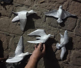 BIRDS OF ROMANCE, SET OF 5 BIRDS WALL DECOR-RYWDB5001