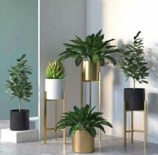 SET OF 5  PLANTERS AND 3 STANDS -SKDPS001