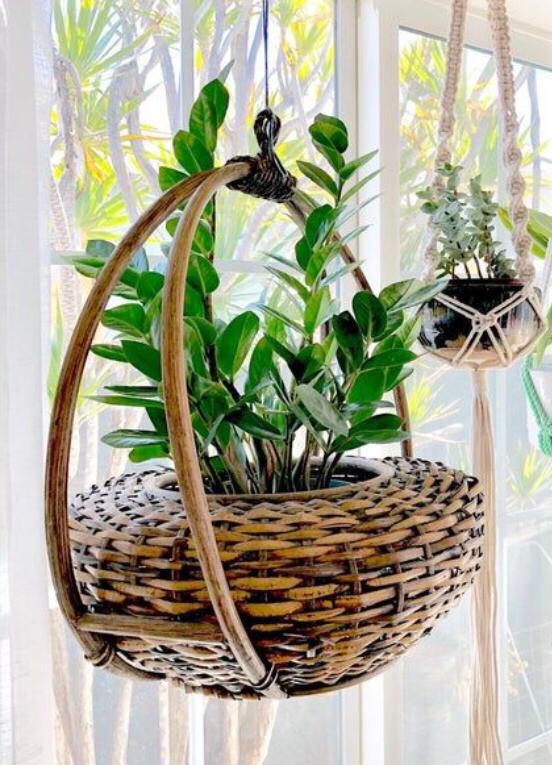 hanging cane planter RARE HANGING RATTAN NEST PLANTER -SKDRP001 – www.soosi.co.in