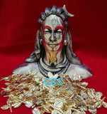 LORD SHIVA IDOL STATUE IN BRASS WITH 108 MAREDU DALAM-CZYSMD001