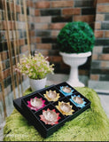 Colorful Brass Lotus Akhand Diya Set With Box (Set Of 6)-SKDBDS06001