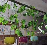 Give Your Garden An Mesmerizing View With Multi Color Hanging Planters-ANUBHP001