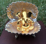 SET OF 5 , SILVER PLATED REAL SHELL WITH GOLD PLATED GANESH IN GIFT BOX-PANIPGGBX001
