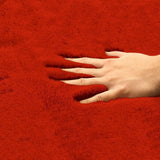 RED COLOR SANTUSHTI BEDSIDE RUNNER-ANUBBSR001R