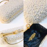 The All Hot Selling Imported Party Hand Clutch-FS001