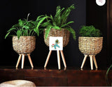 Classy Natural Jute planters set of 3 with tripod legs-ANUB001JP