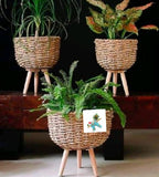 Classy Natural Jute planters set of 3 with tripod legs-ANUB001JP