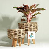 Classy Natural Jute planters set of 3 with tripod legs-ANUB001JP