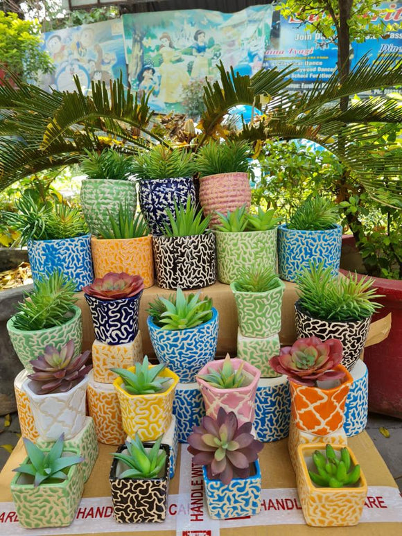 Ceramic Set of 21 Small Size planters -ANUB001CPS